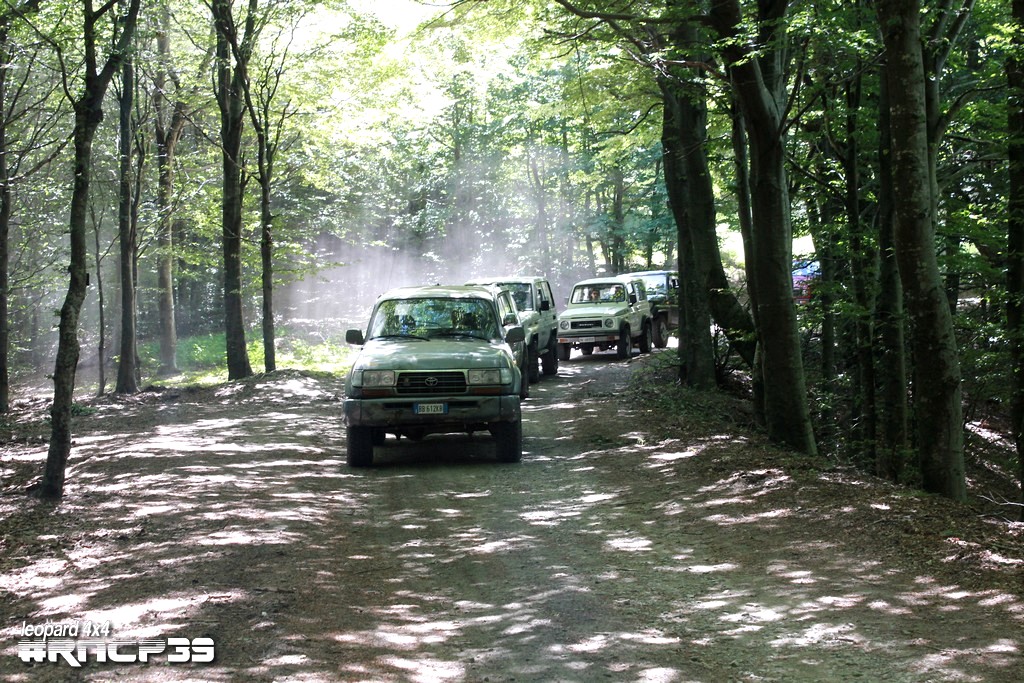 39Â° Raduno Nazionale delle Colline Pistoiesi - foto 153